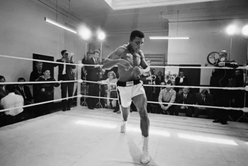 Best Pound for Pound Boxers